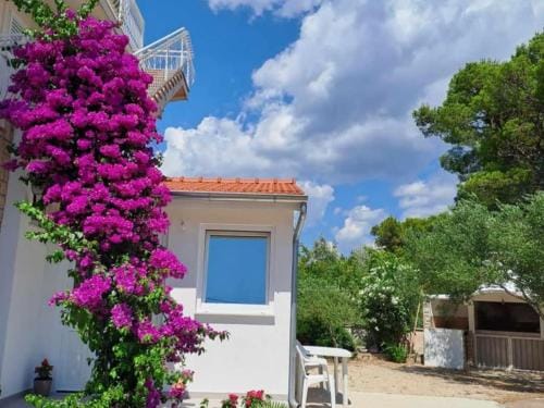 Apartments Dana - Two Bedroom Apartment 1 Hotel in Šibenik-Knin County, Croatia