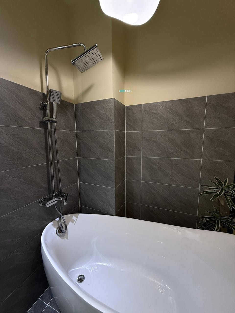 Looking homestay Inn in Ho Chi Minh City