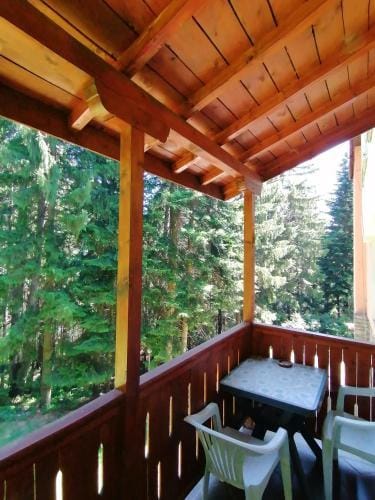 Ski Hotel Katerina Hotel in Blagoevgrad Province