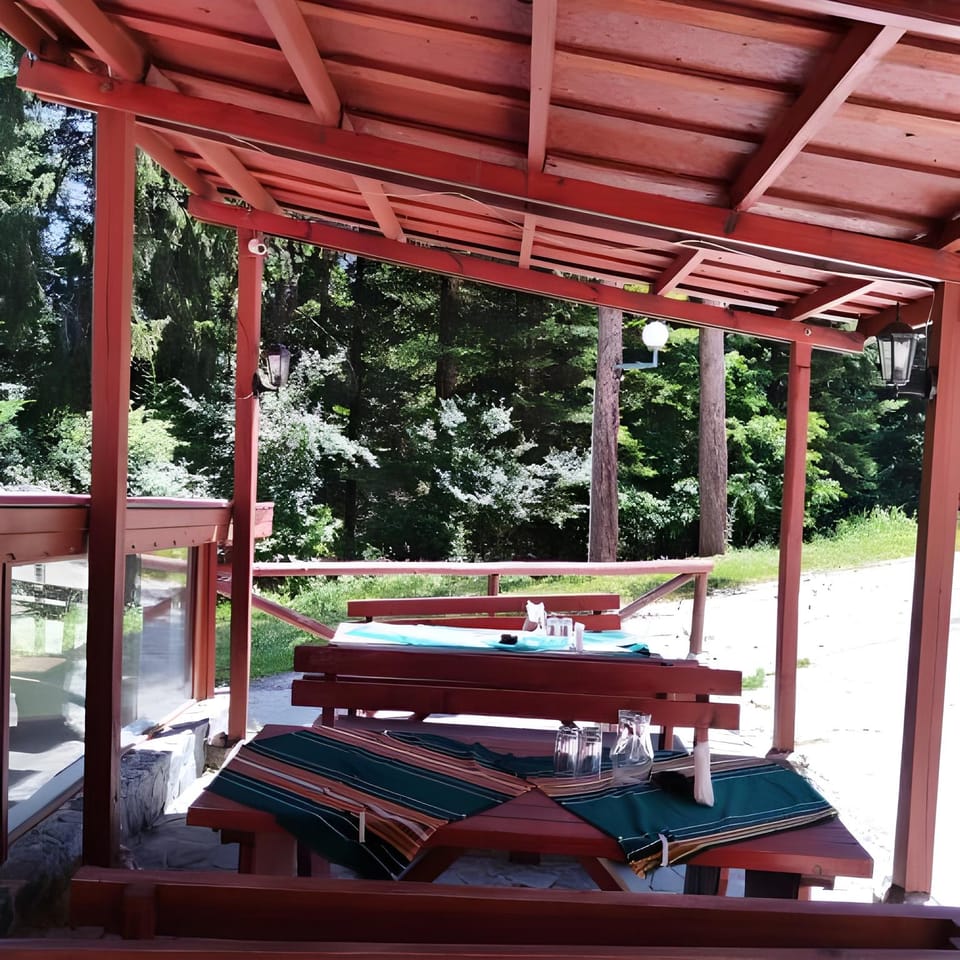 Ski Hotel Katerina Hotel in Blagoevgrad Province