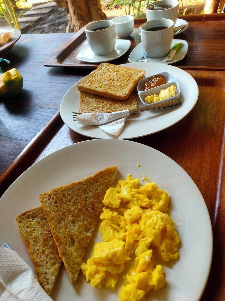 Vanaya Lodge Hotel in Bali