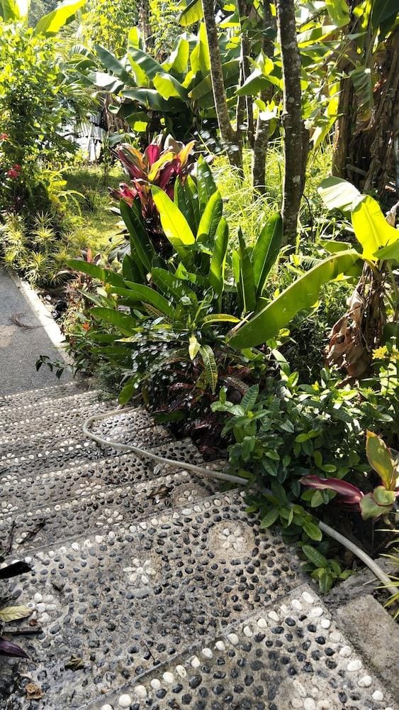 Diara Cottage Hotel in Ubud