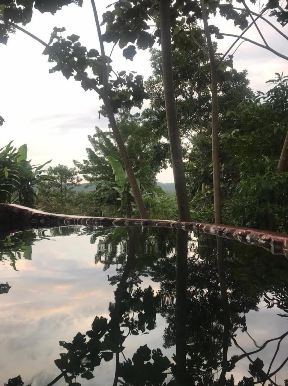 Cacao Glamping Hotel in Napo, Ecuador