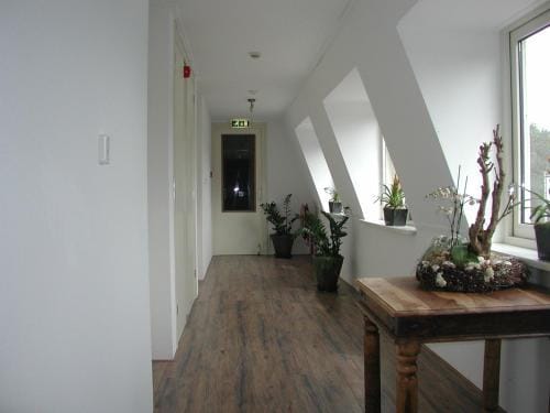 Hotel Studio Bosch Duin Strand Apartment hotel in North Holland (province)