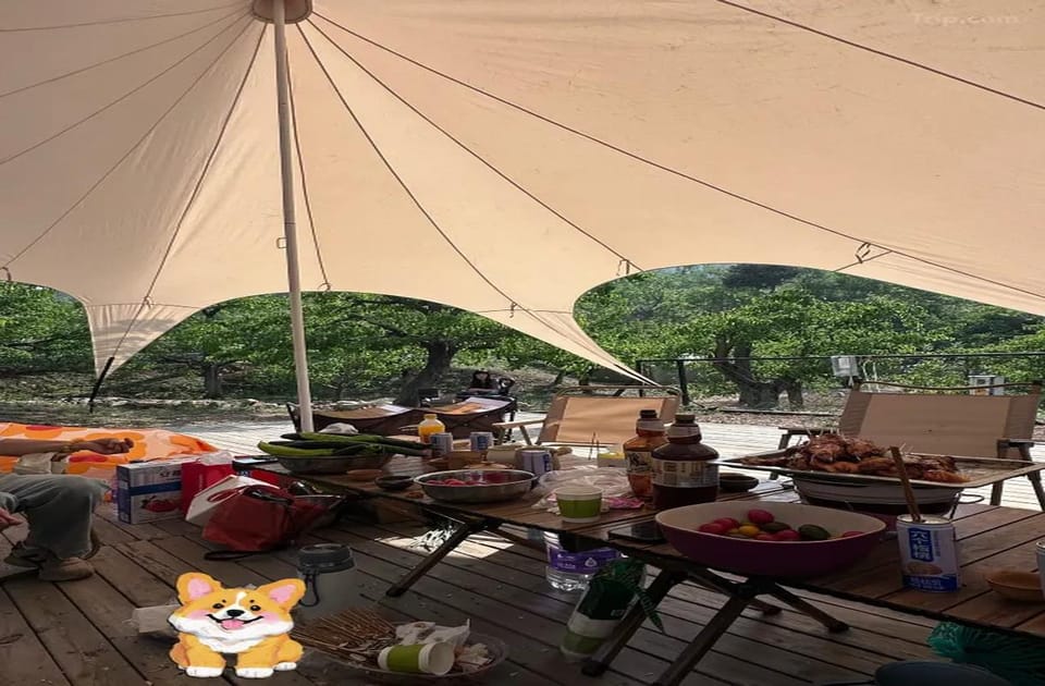 Badminton court
