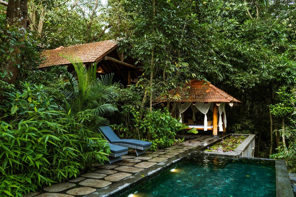 Swimming pool [outdoor]