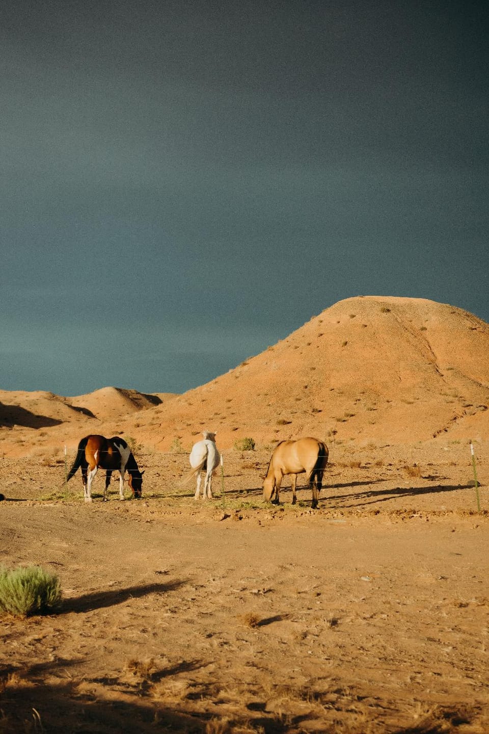 Dukes Slickrock Campground & RV Park Hotel in Capitol Reef