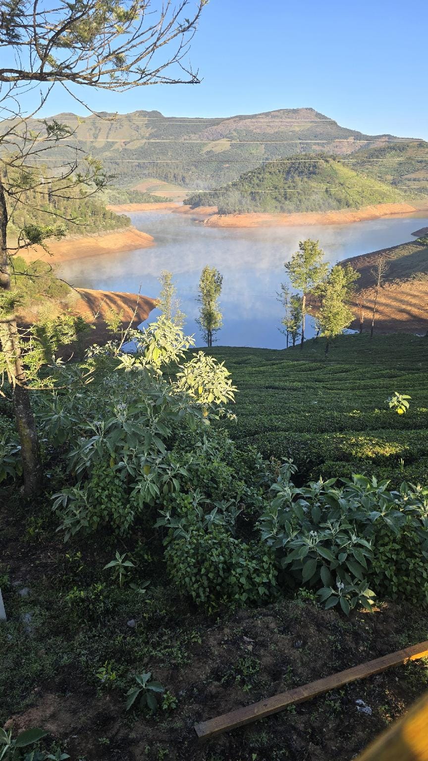 SILVER LAKE NATURE ESCAPE Resort in Kerala