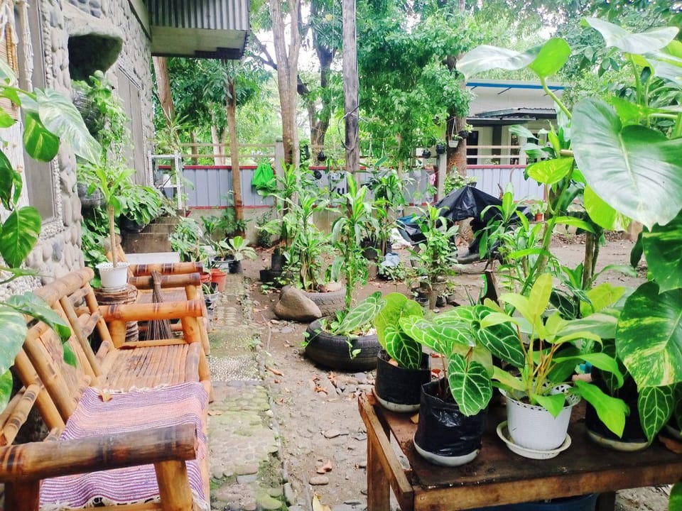 Amwani Hideaway Bed and Breakfast in Puerto Princesa