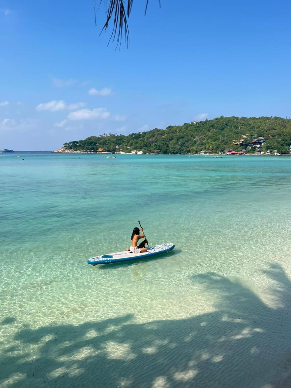 Malila Sea Breeze Hostel Hostel in Ko Tao