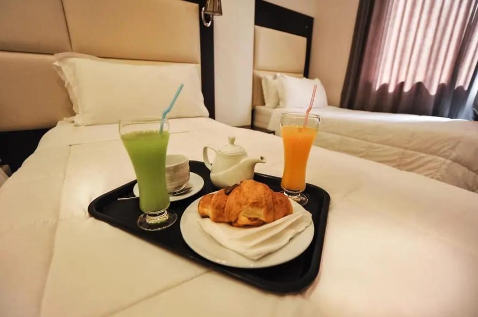 Hotel Vila e Arte Hotel in Tirana