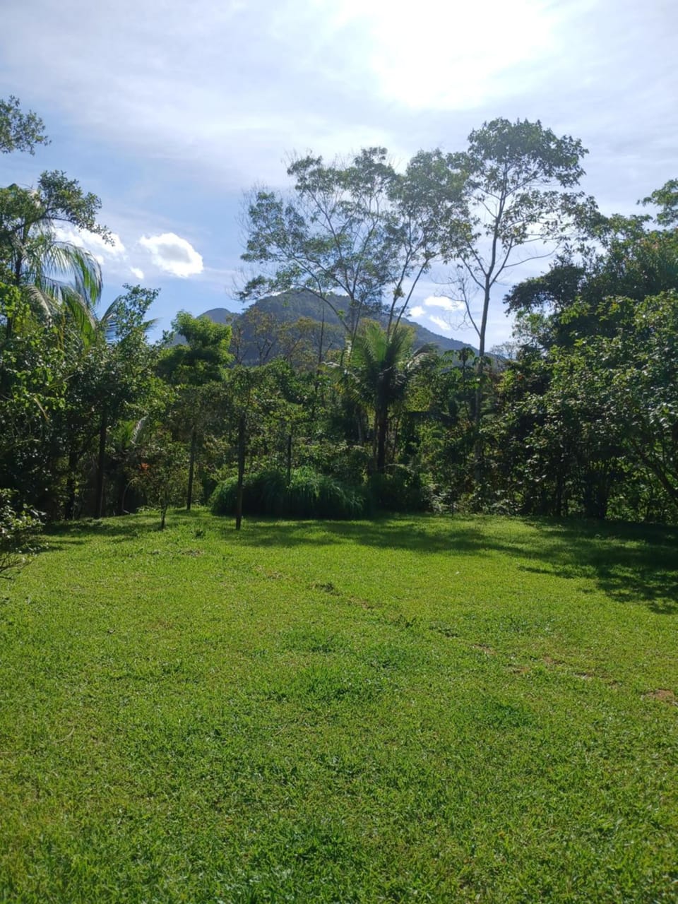 Entre Árvores Ecolodge Paraty  Hotel in State of Rio de Janeiro