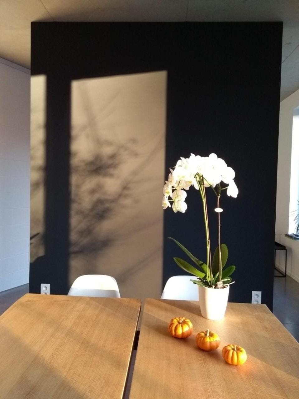 dimensions M Hotel in Wallonia, Belgium