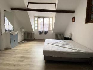 Holiday Rental La Roche-Posay Hotel in Centre-Val de Loire