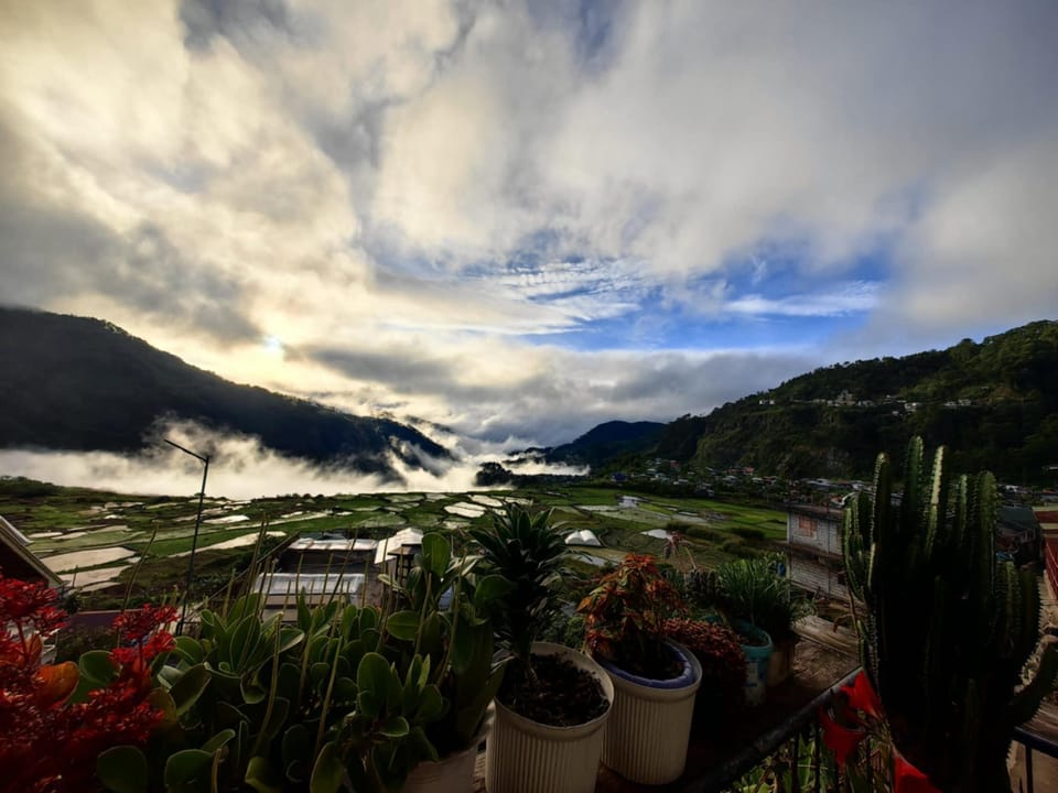 Balcony/terrace