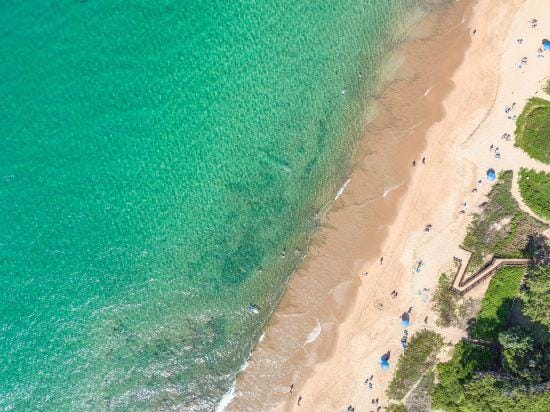 Kihei Kai Nani 238 - Garden View 1 Bedroom, Split AC, Steps to Kamaole II Beach! Hotel in Wailea