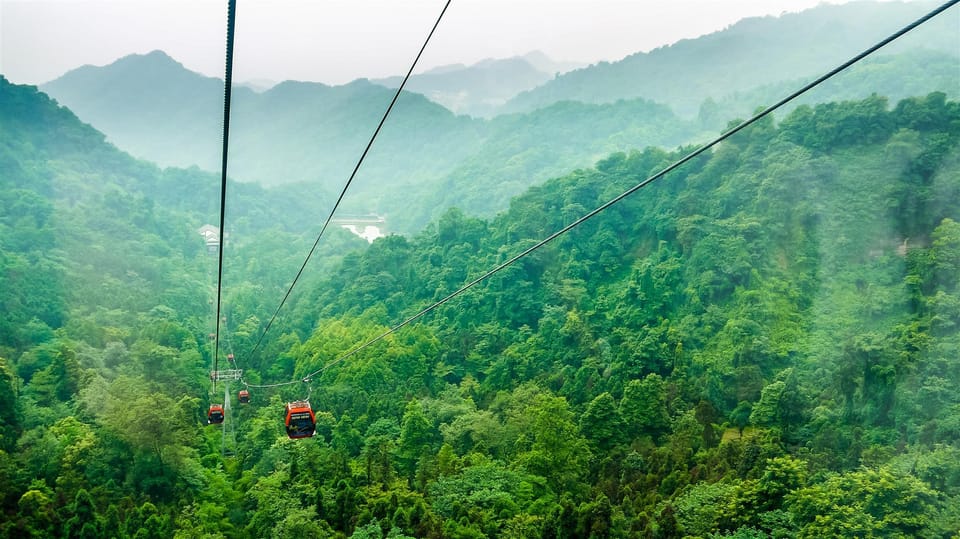 BuSu Forest Forever Hotel Hotel in Chengdu