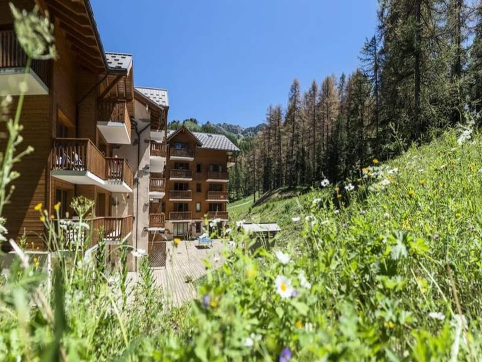 Residence Pierre  Vacances LAlbane Hotel in Piedmont