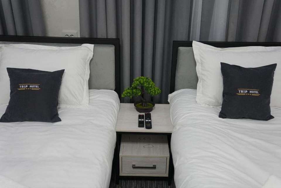 TRIP Hotel Hostel in Europe