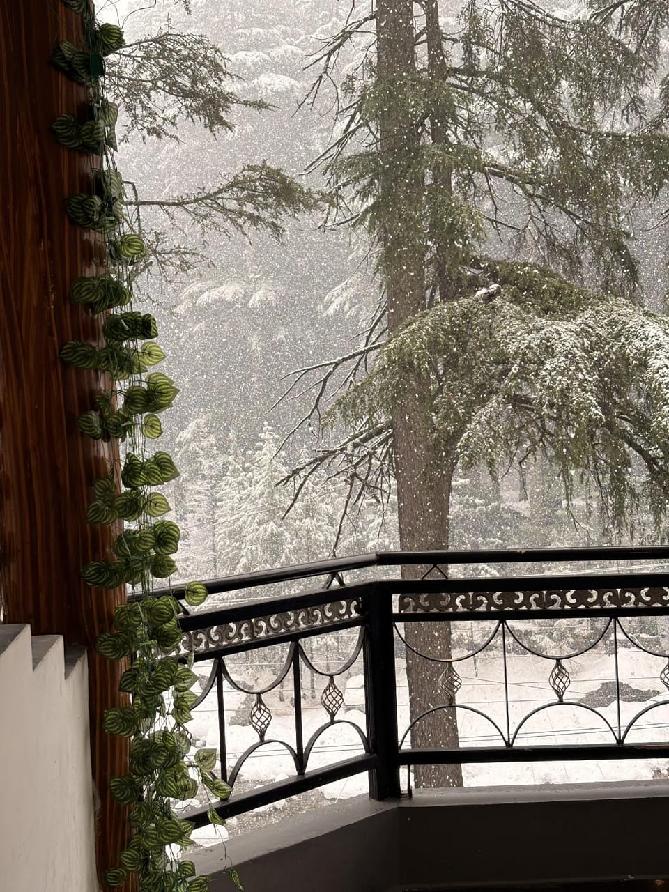 Tara Guest House Hotel in Manali