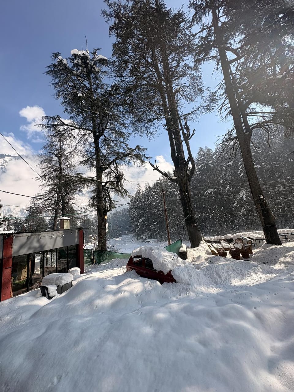 Tara Guest House Hotel in Manali