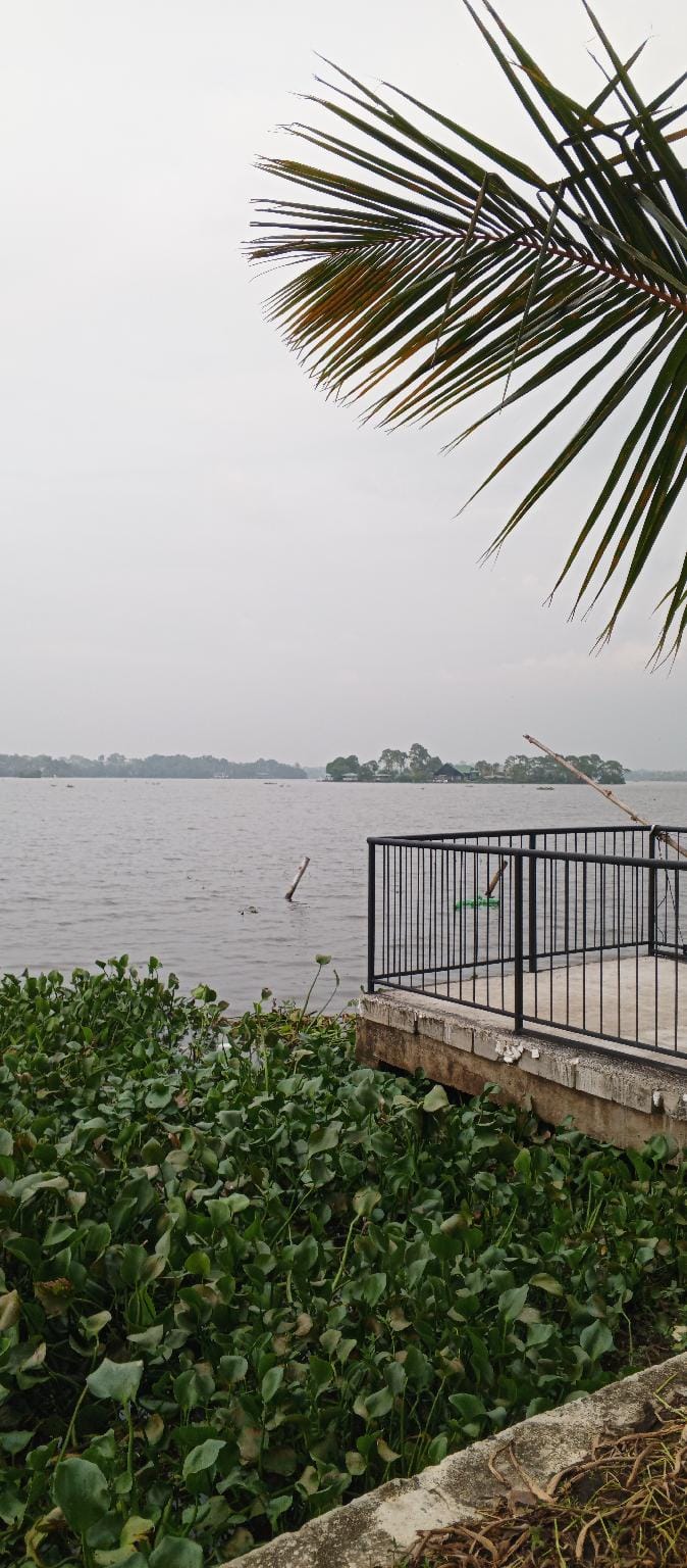 Surrounding environment