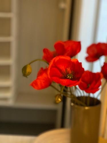 Lo Stallone -Malpensa Milan airport Hotel in Lombardy