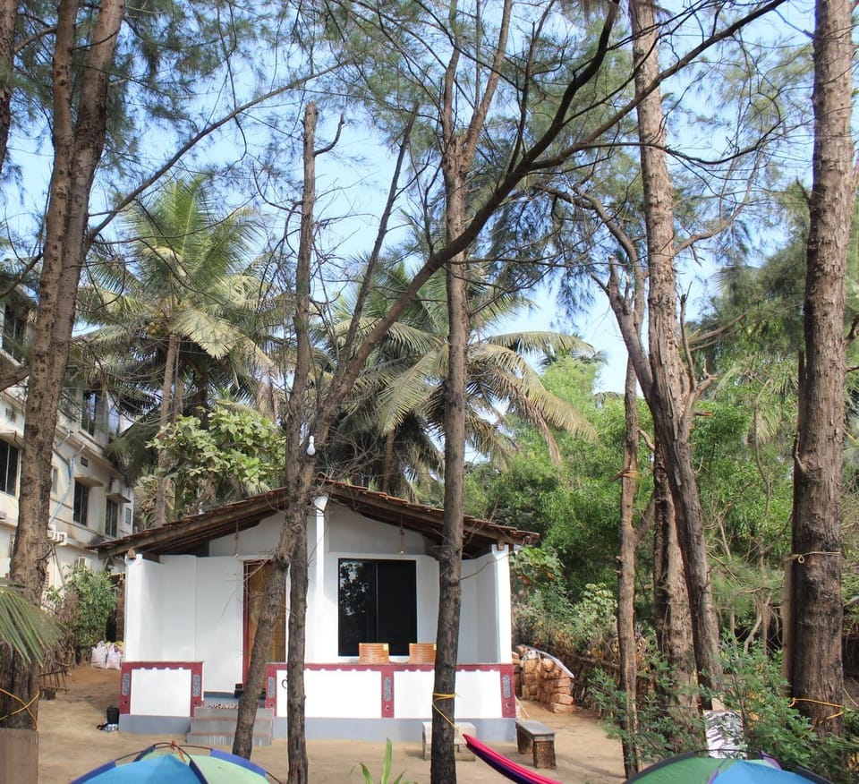 Exterior view