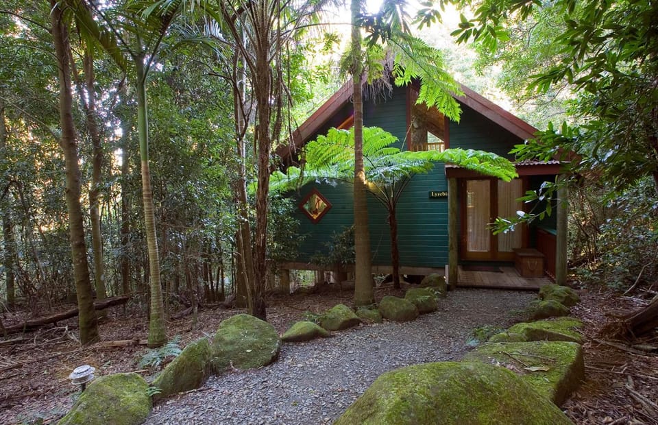 Springbrook Lyrebird Retreat Lodge in Springbrook