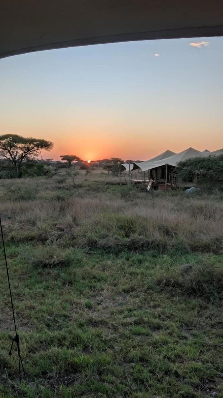 Pumba Luxury Camps Hotel in Tanzania
