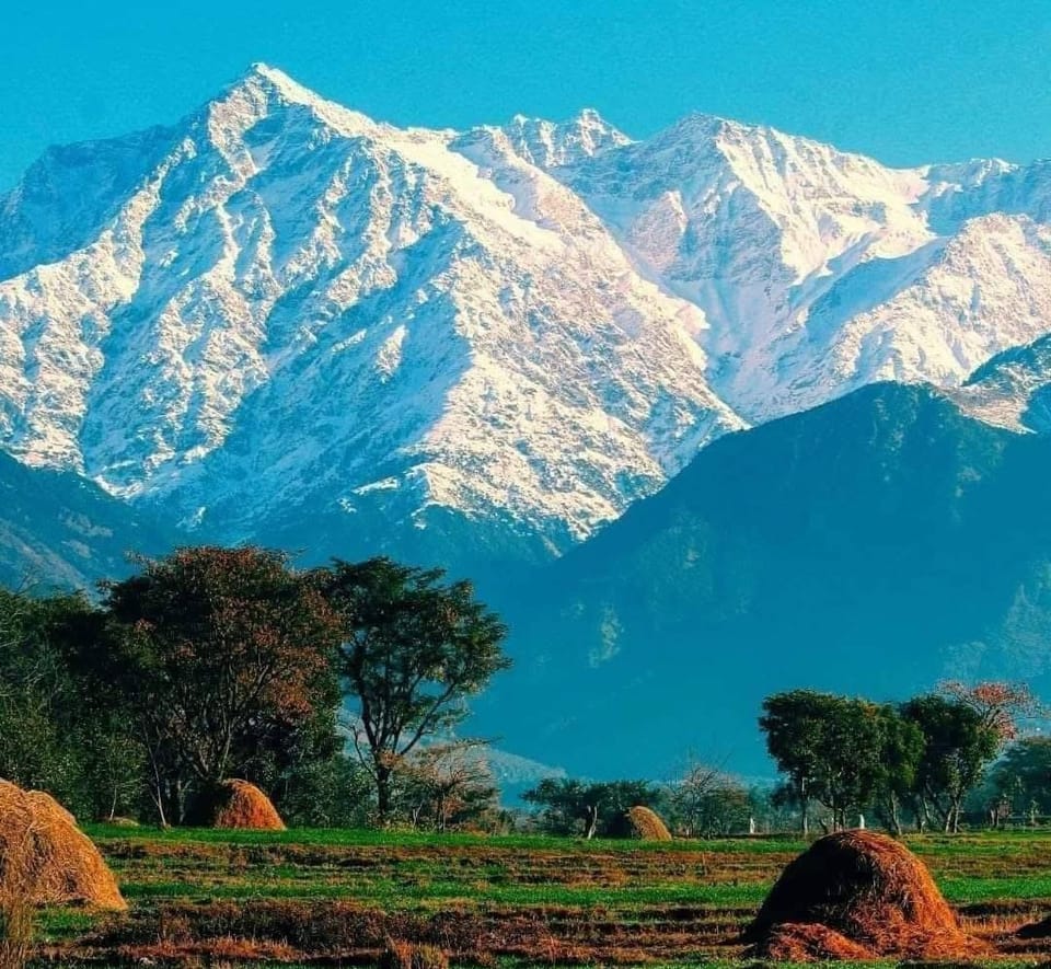 Centre point club & resorts Hotel in Himachal Pradesh