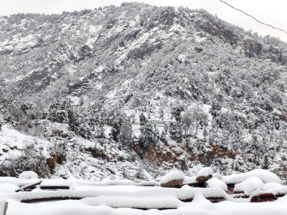 Pindari Homestay  Bed and Breakfast in Uttarakhand