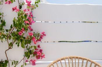 Sea Dream Luxury Home Hotel in Thera