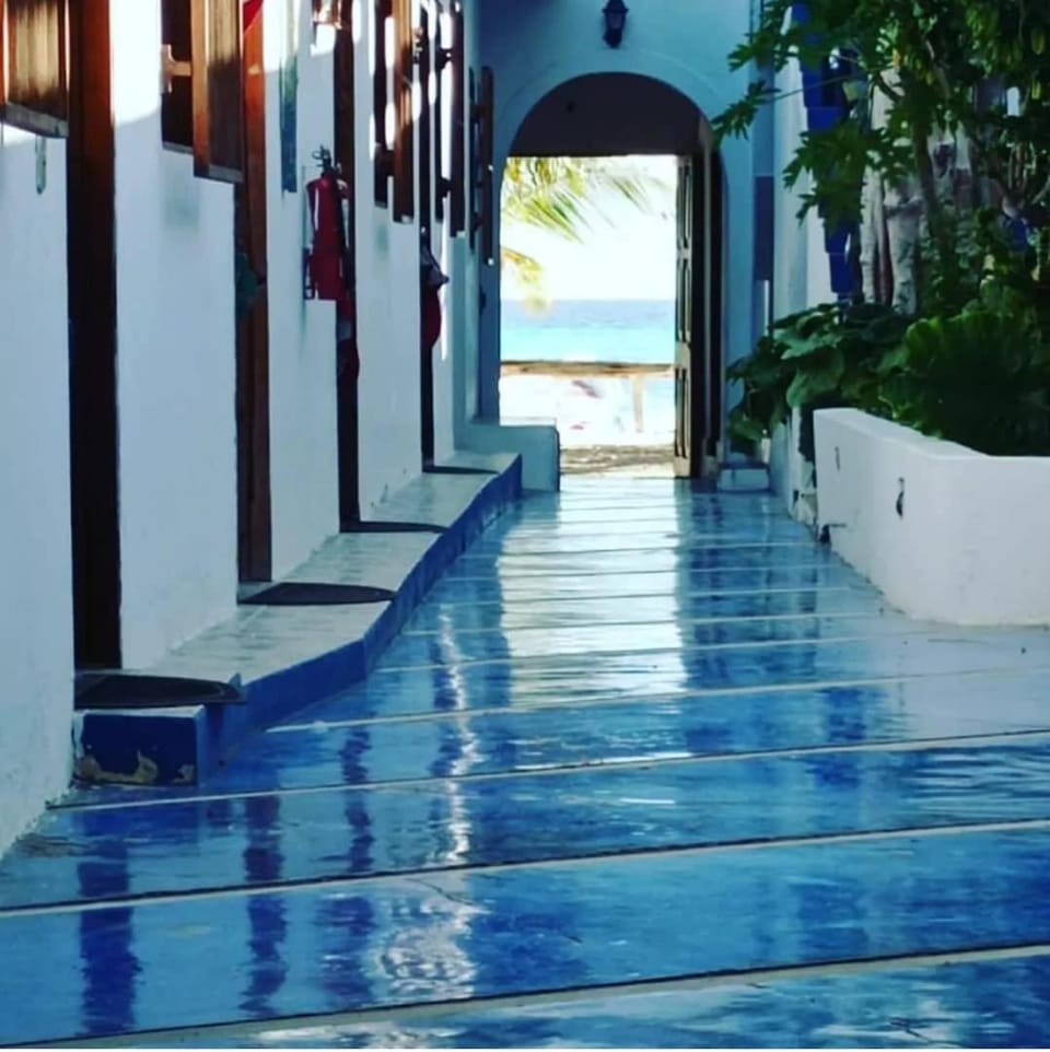 Posada Dona Carmen Hotel in Venezuela