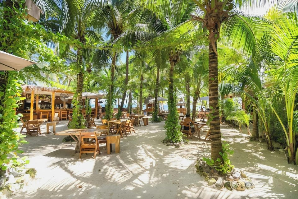 Mayan Monkey Isla Mujeres - Social Hotel Hotel in Isla Mujeres