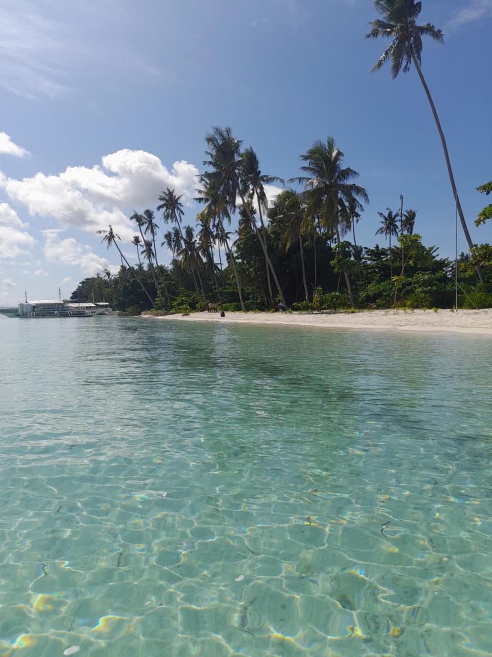 Homaja Roomrental Apartment hotel in Panglao