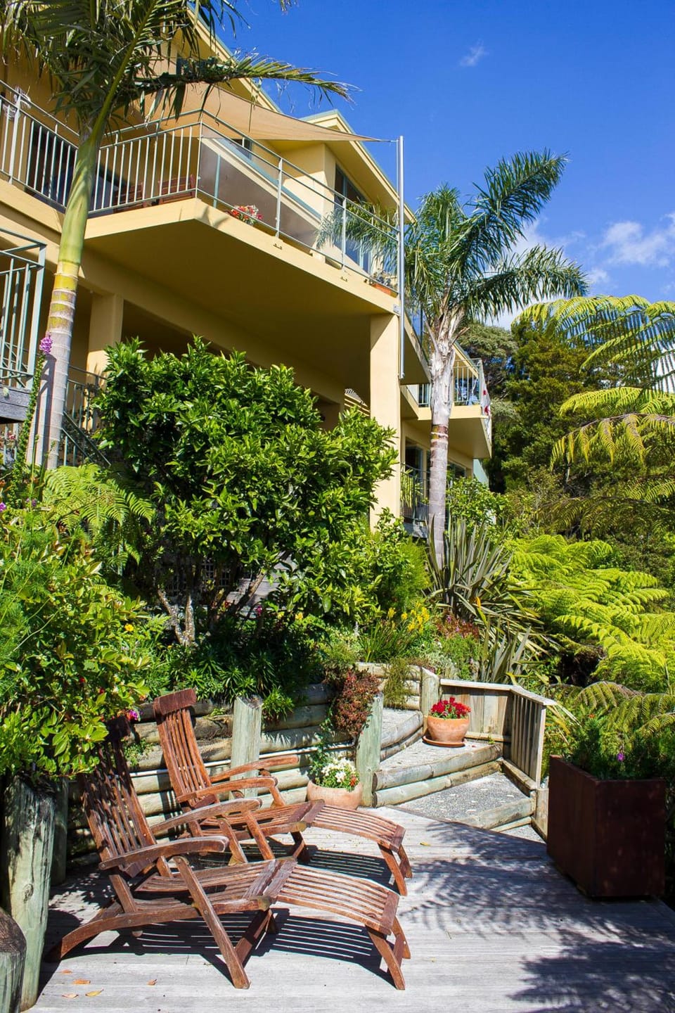 Allegra House Hotel in Paihia