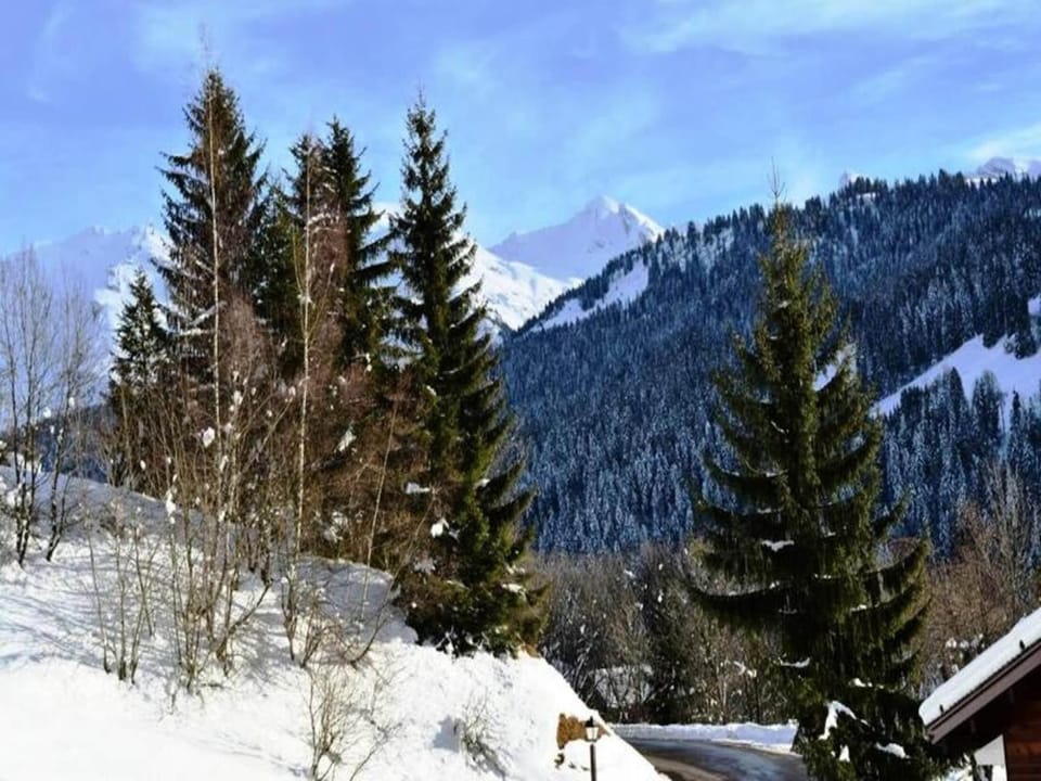 Residence Millepertuis B Hotel in Le Grand-Bornand