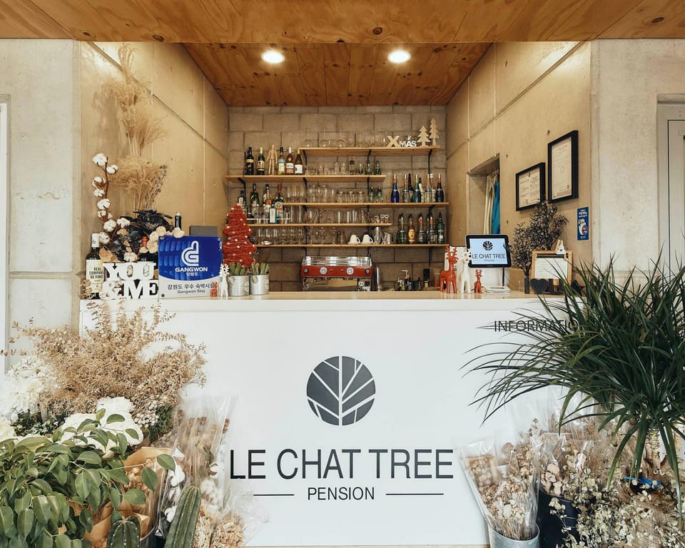 Le Chat Tree Hotel in South Korea