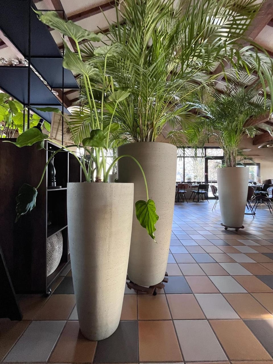 Hotellerie du Roy - Restaurant Chez Robin Hotel in Auvergne-Rhône-Alpes