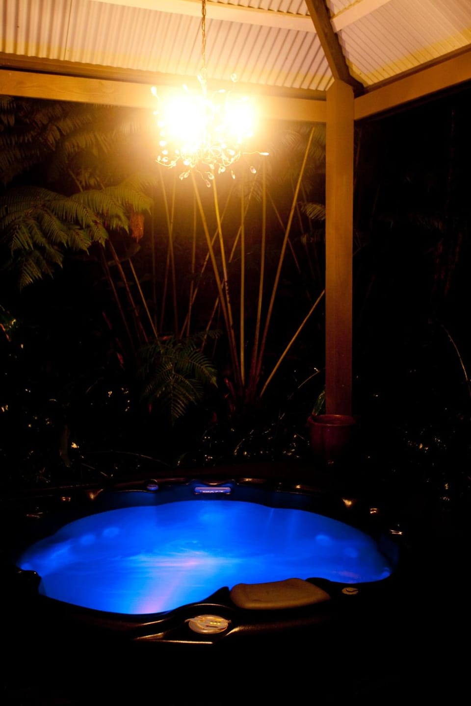 Volcano Mist Cottage Hotel in Volcano