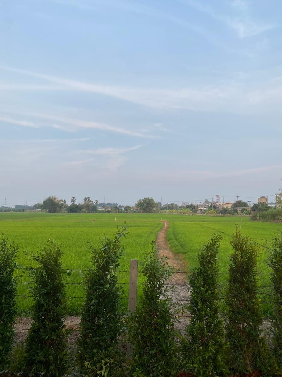 Juniper Resort Ayutthaya Hotel in Laos
