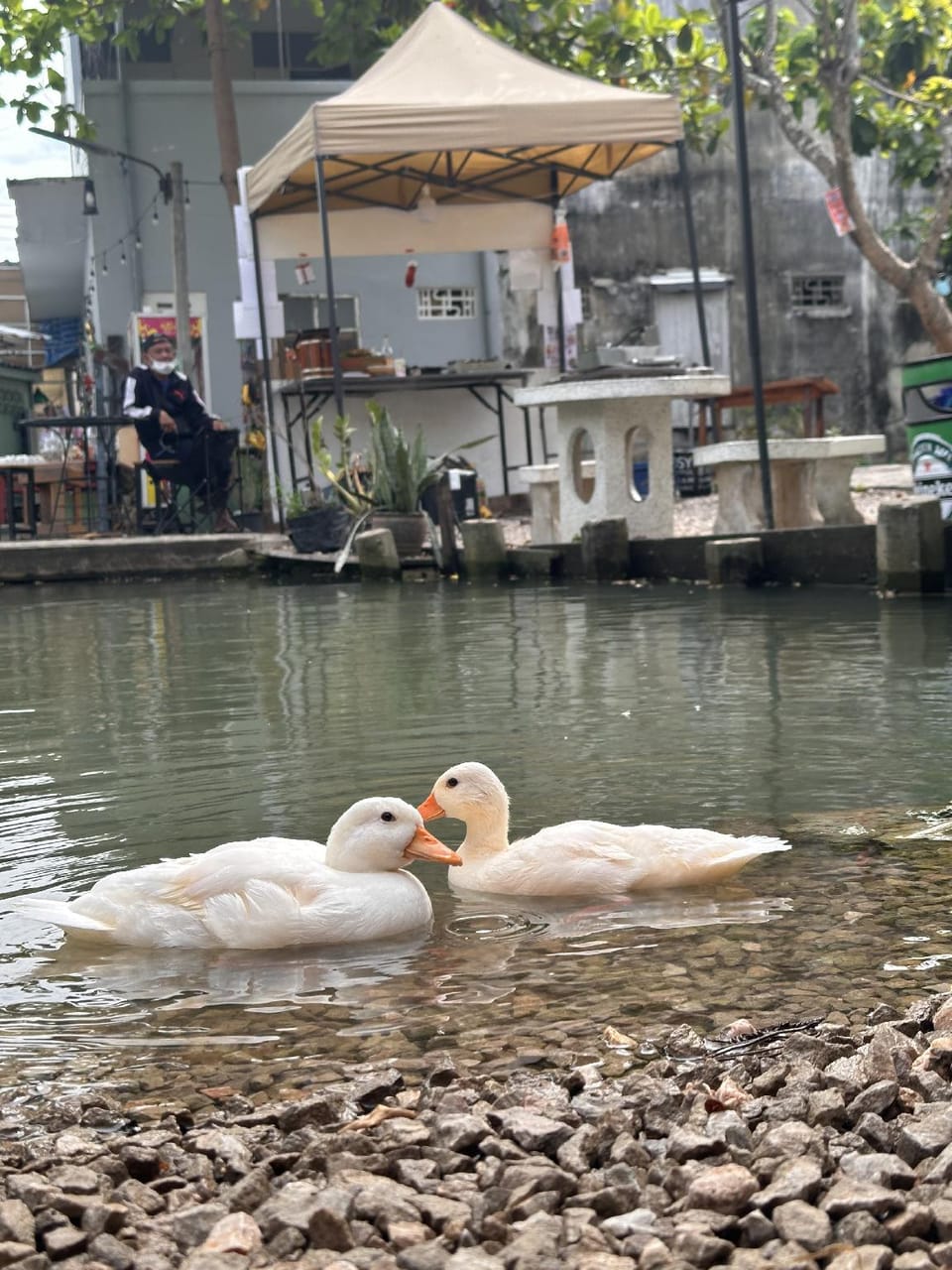 Amphawa hostel Hostel in Thailand