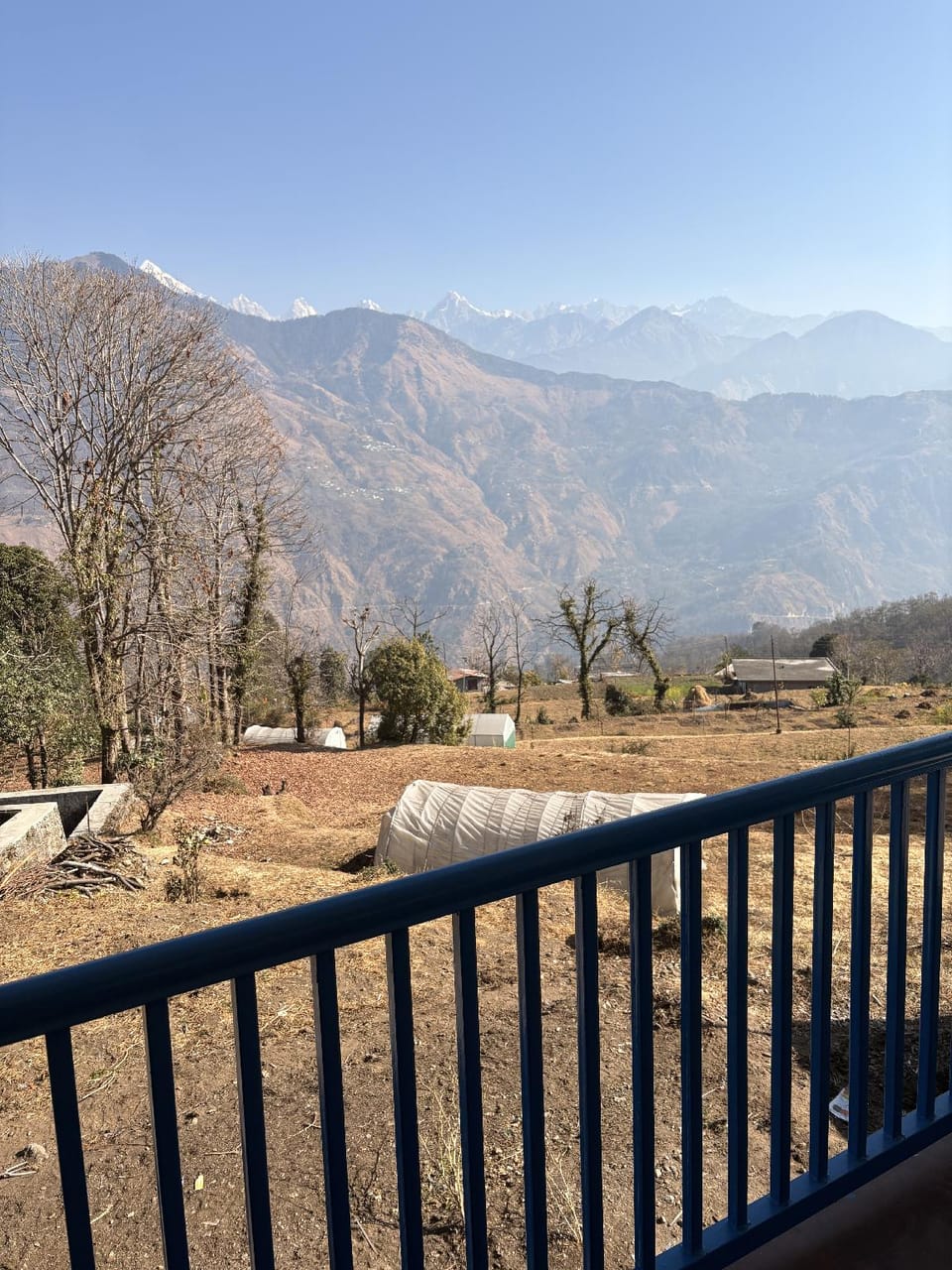 Tree House Munsyari  Hotel in Uttarakhand