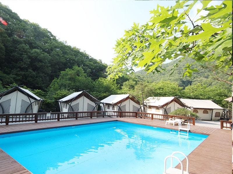 Coco Vivaldi Glamping Caravan Auto Camping Hotel in Gyeonggi-do