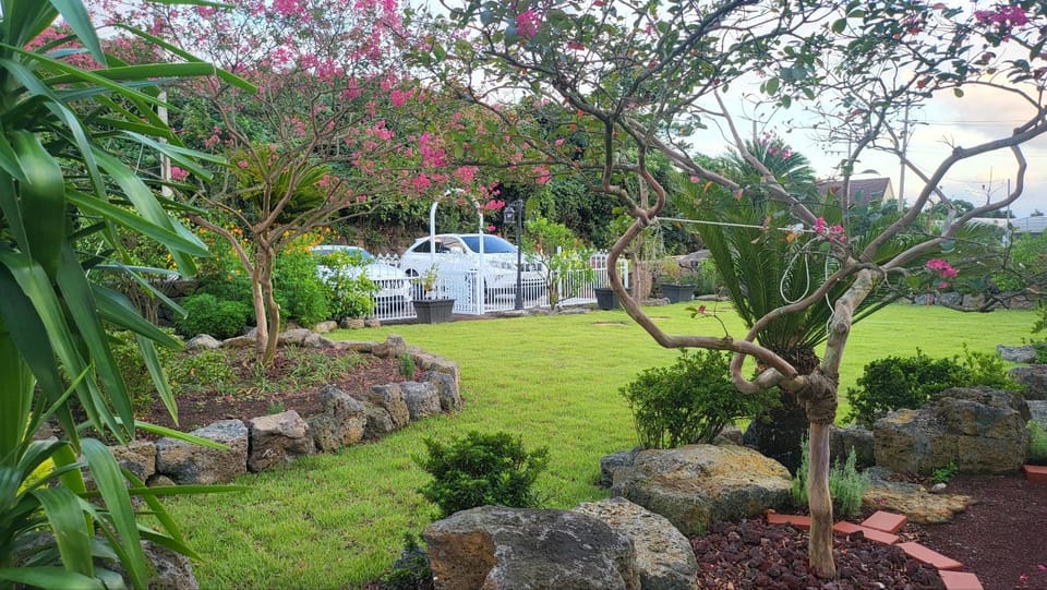 Jeju Gallery House Hotel in South Korea
