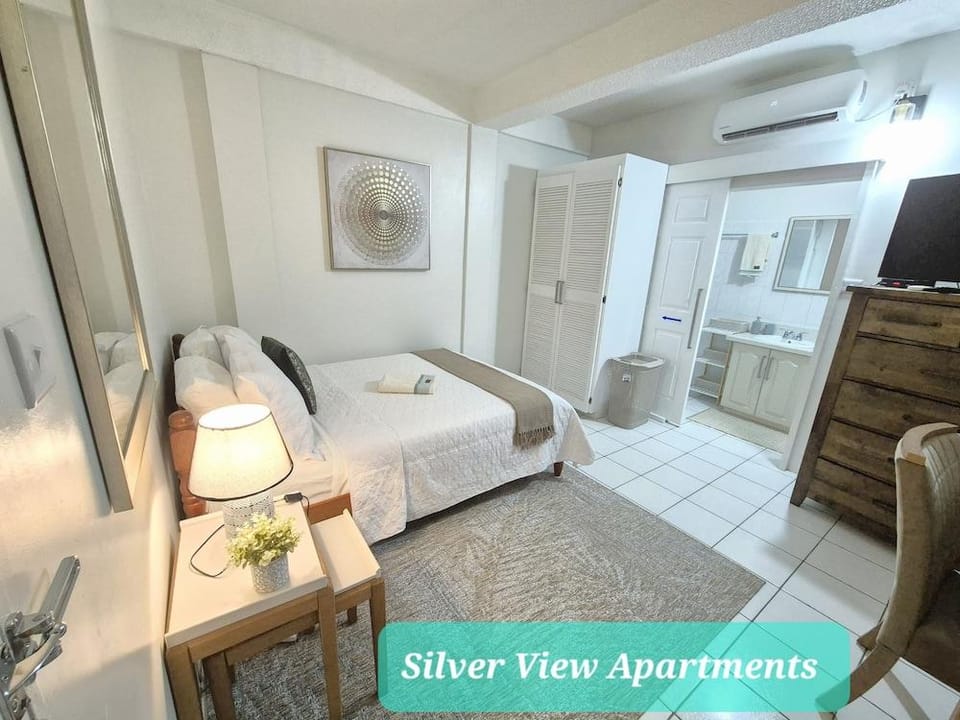 Silver View Apartments Hotel in Saint George