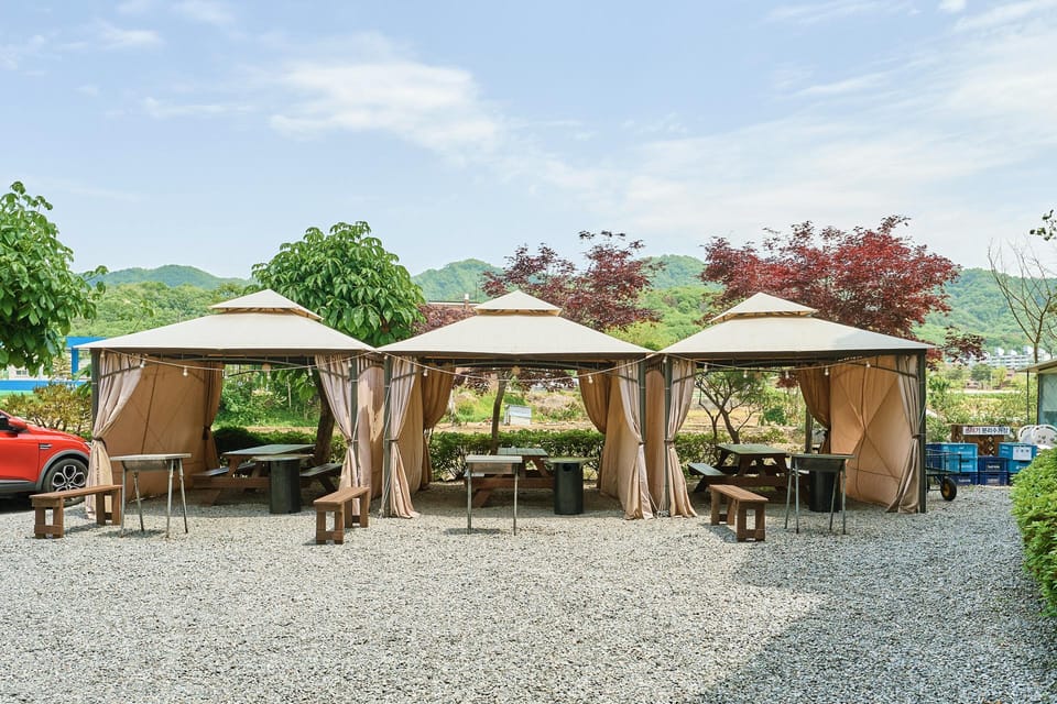 Chuncheon Fox Shade Hotel in Gyeonggi-do