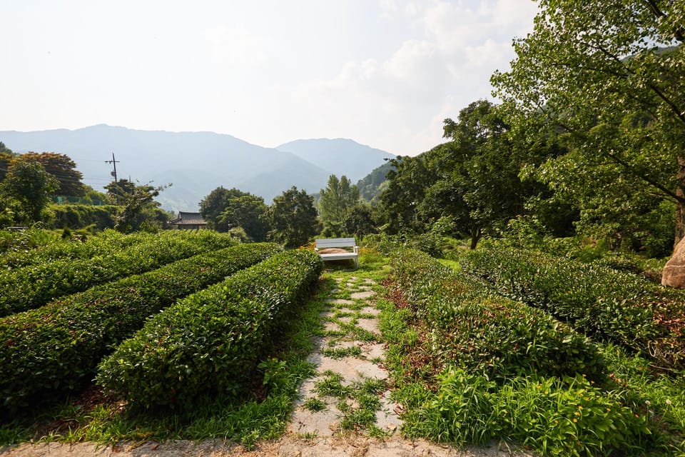 Hadong Alps Dongwha Pension Hotel in South Korea