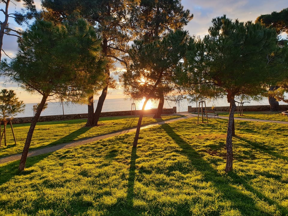 Hostel Pinesta Hostel in Novigrad